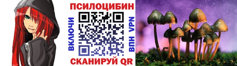 Псилоцибиновые грибы GOLDEN TEACHER  Спас-Клепики 